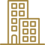 50+